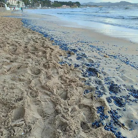 Sicilia Completement Climatisee Villa